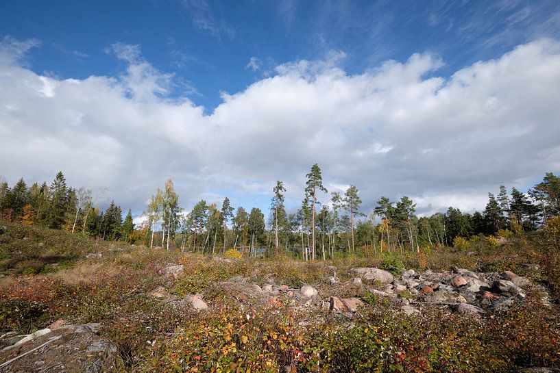 swedenherfst002 by Geertjan Plooijer