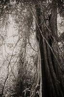 Photographie de voyage 