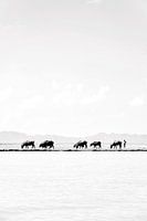 Traditionelle Landwirtschaft in der Nähe von Mrauk U - Myanmar
