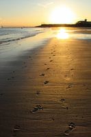 Footsteps in the sun