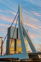 Erasmus Bridge with the Rotterdam and beautiful sky