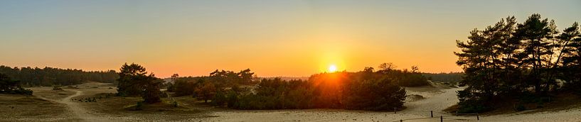 Coucher de soleil d'automne sur les dunes de sable de Veluwe par Sjoerd van der Wal Photographie