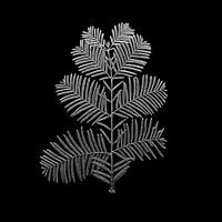 Branche de l'aiguille