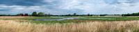 Marsh and agriculture in Fakse, Denmark