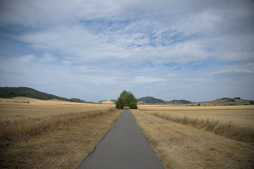 Der Weg nach vorn. von Zuidfotograaf