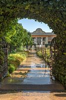 Iran : Maison Qavam (Shiraz)