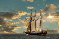 Großes Segelschiff in Ölfarbenoptik 2