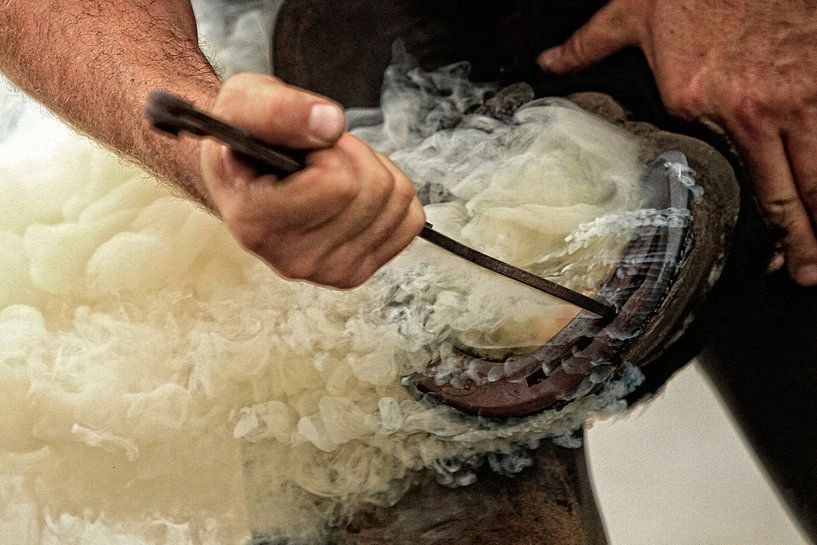 Hoefsmid 11 von Wybrich Warns