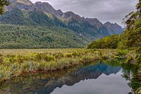 Réflexion dans le lac