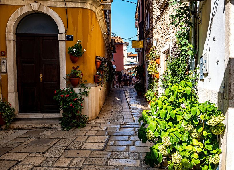 Alte Gasse in der Stadt Porec in Kroatien von Animaflora PicsStock