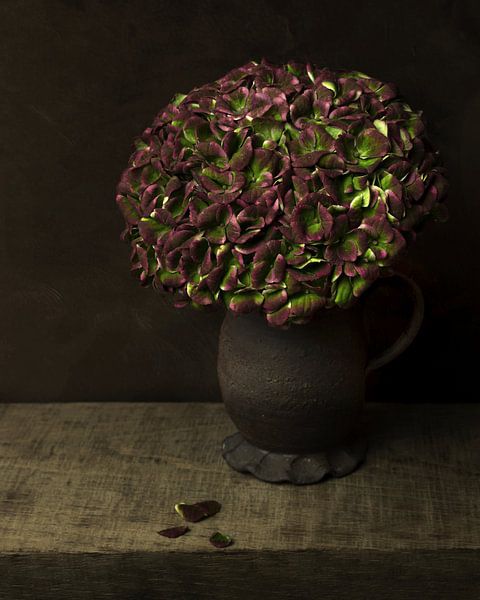 Hortensie altrosa, Stillleben von Joske Kempink