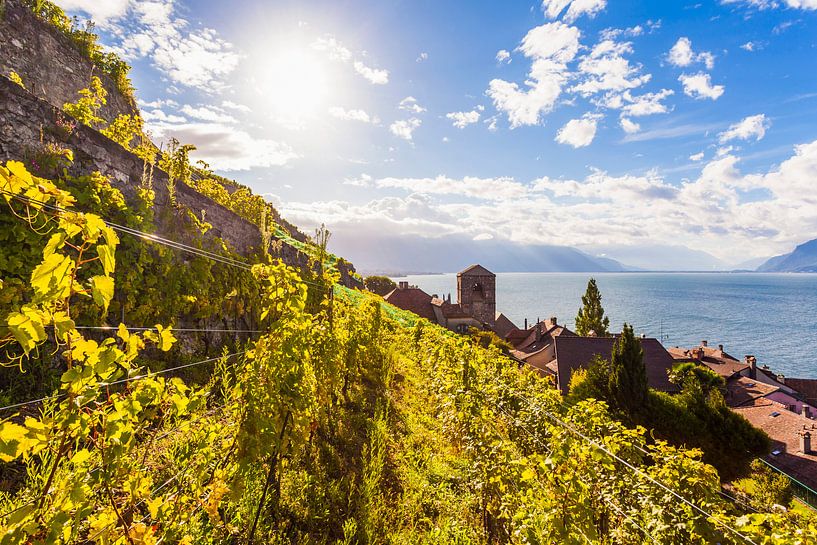 Saint-Saphorin à Lavaux sur le lac Léman par Werner Dieterich