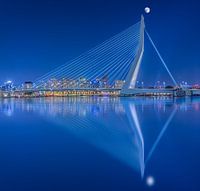 Spiegeling Erasmusbrug