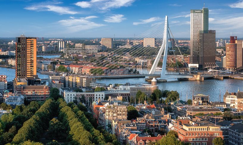 Rotterdam Skyline by Photo Wall Decoration