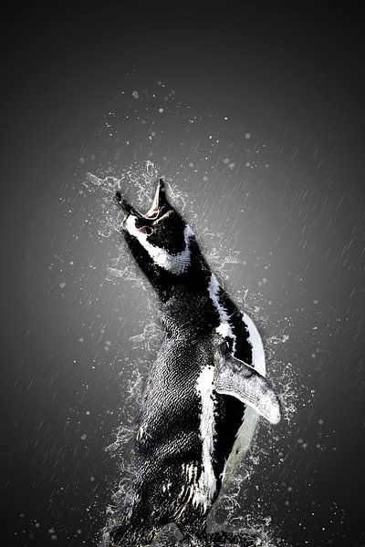 The song by Catherine Fortin