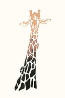 Giraffe in Africa