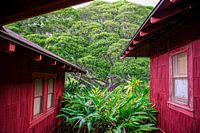 Il y a une maison rouge là-bas à Hawaii
