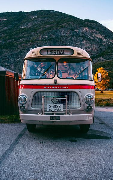 Karikaturist Bus von Brinkman Fotografie