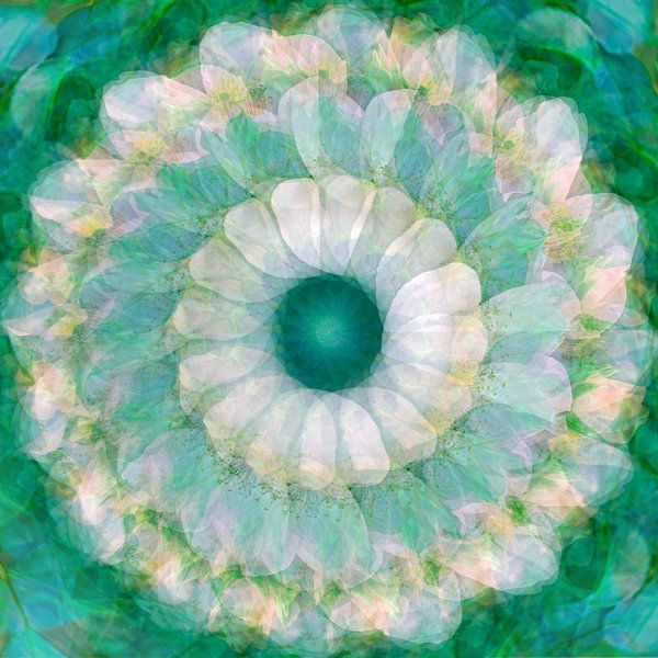 Neuanfang von christine b-b müller