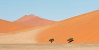Namibia Wüste Sossusvlei