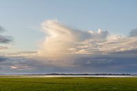 Innendeichs - Außendeichs Foto 8