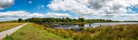 Pure nature from the Netherlands: large panorama