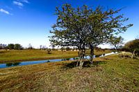 Amsterdam Wasserversorgung Dünenlandschaft Foto.