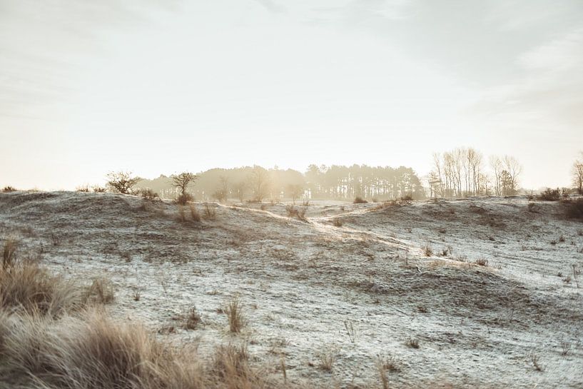 Winter landscape by Sanne Dost