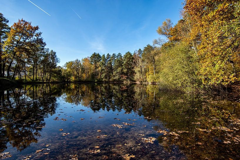 L'été est terminé par Thomas Riess