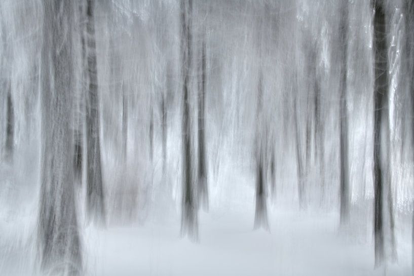 Spuren im Schneewald von Oliver Lahrem