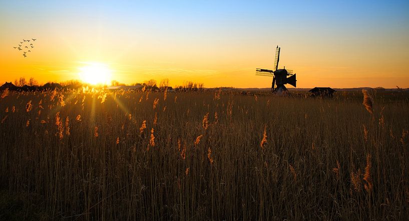 Sonnenuntergang an der Varnebroek-Mühle von peterheinspictures