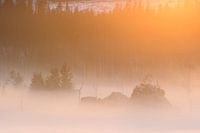 Mäuseklippe Schierke.