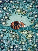 Schlafender Roter Panda