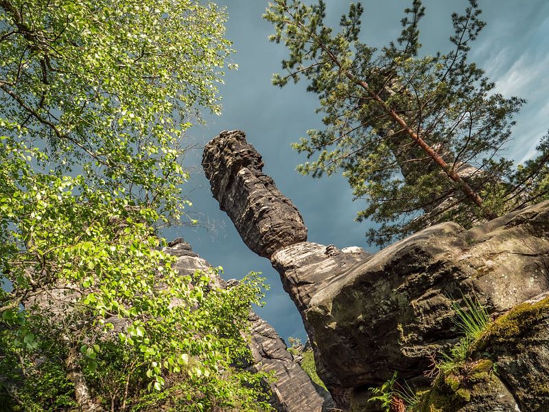 Bielatal, Saxon Switzerland - Große Herkulessäule through the treetops by Pixelwerk
