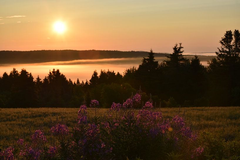 Ein Sonnenaufgang an einem Sommermorgen von Claude Laprise