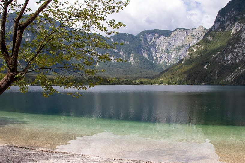Bohinjer See (2) von Jolanda van Eek en Ron de Jong