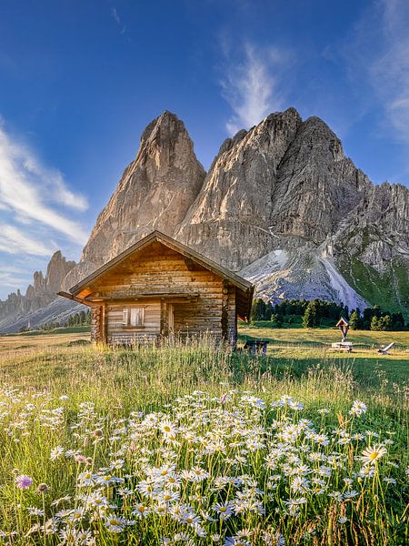 Cabane alpine avec fleurs et panoama de montagnes dans les Alpes au Tyrol / Dolomites. par Voss photographie