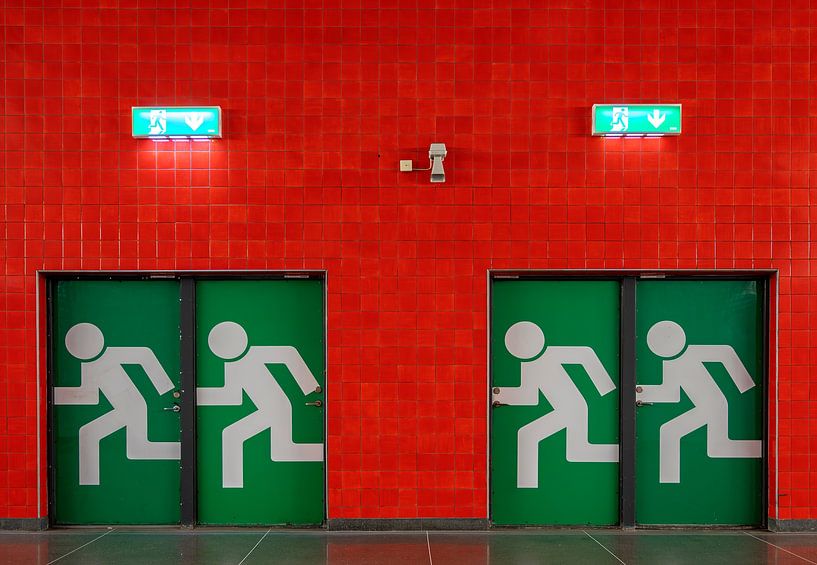 The emergency exits by Leopold Brix