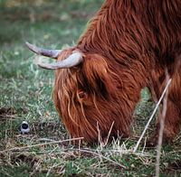 2 Freunde auf 1 Teller!