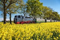 Raging Roland Island Rügen