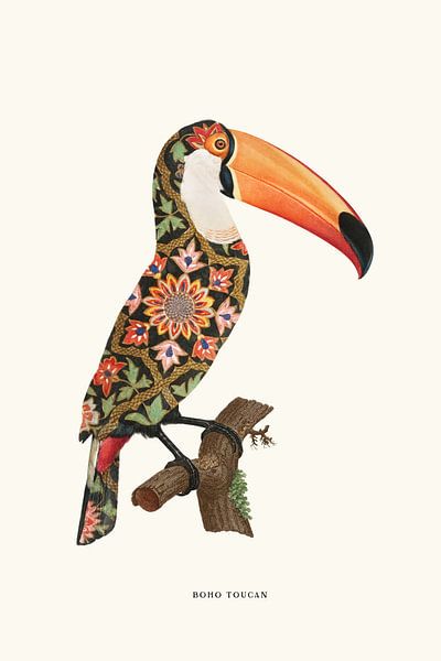Boho Toucan von Jonas Loose