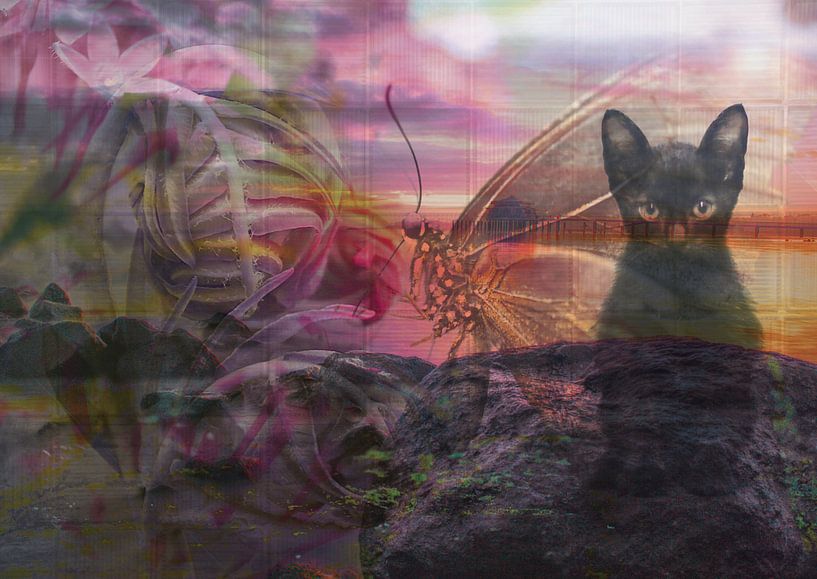 Dream Team by Andreas Schulte