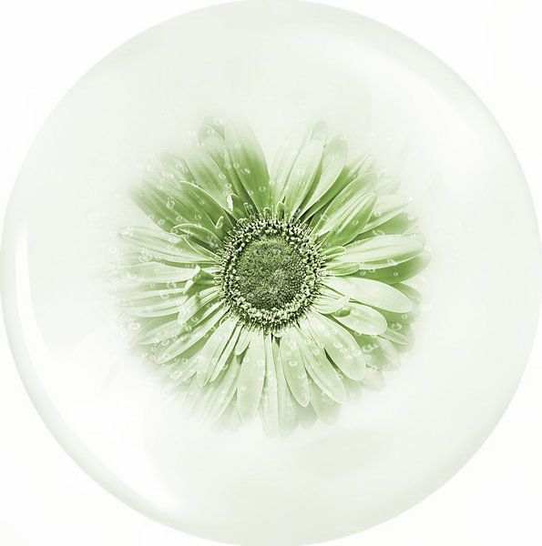 Nature as artist. by Saskia Dingemans Awarded Photographer