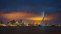 Erasmus Bridge Rotterdam by night