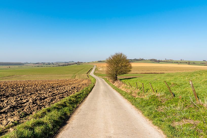 Heuvelland par KC Photography