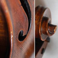 Violon Combi 02 | Image