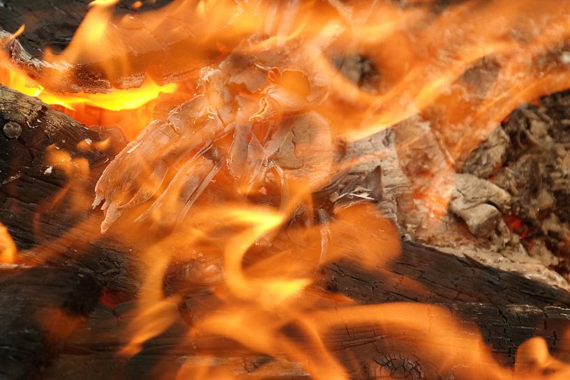 Vuur korf par Foto Hal