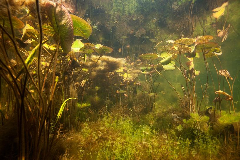 Wassergraben von Arthur de Bruin