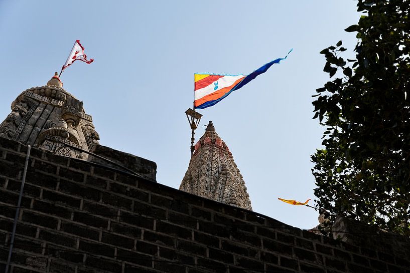 Een duizend jaar oud Hindoe heiligdom van Frank Photos