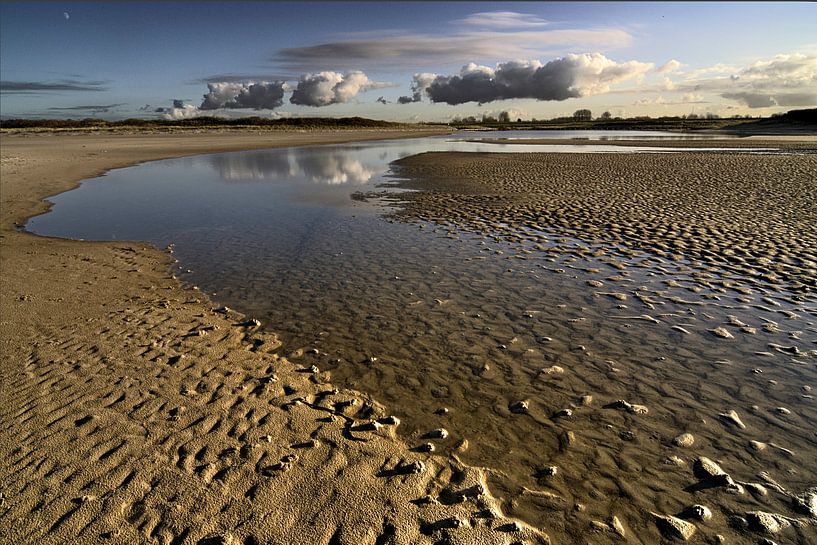Schwarzer Polder von Mario de Lijser